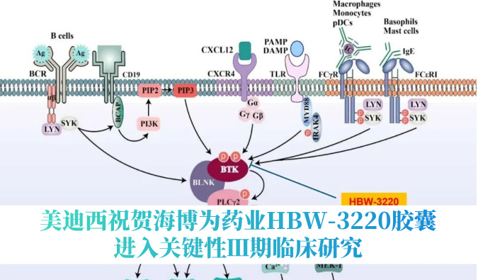 破解耐药性难题，918博天堂祝贺海博为药业HBW-3220胶囊进入关键性Ⅲ期临床钻研